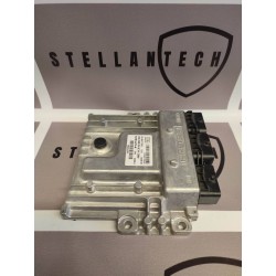 Peugeot Citroen Sterownik Silnika ECU POD VIN 9667175380 9802943180