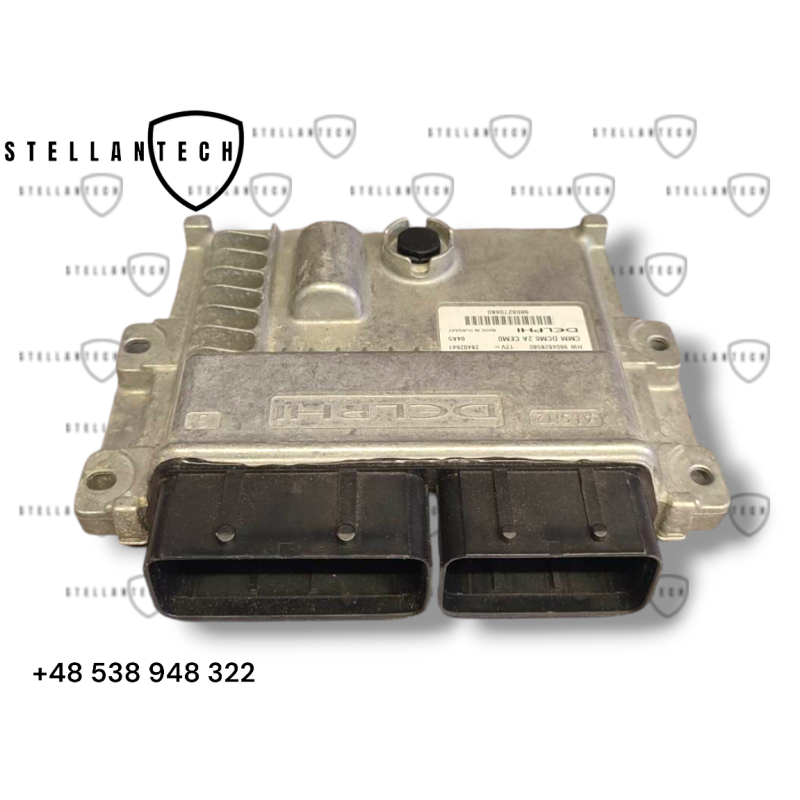 Peugeot Citroen Sterownik Silnika ECU POD VIN 9804828580 9808270880