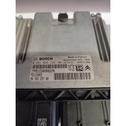 Peugeot Citroen Sterownik Silnika ECU POD VIN 9818703480 9830225780