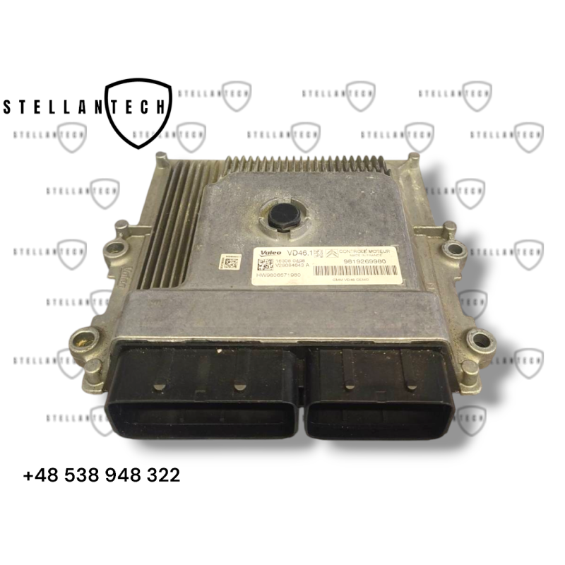 Peugeot Citroen Sterownik Silnika ECU POD VIN 9806671980 9819269980