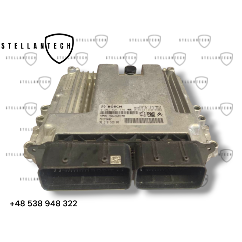 Peugeot Citroen Sterownik Silnika ECU POD VIN 9826206480 9831852980