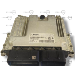 Peugeot Citroen Sterownik Silnika ECU POD VIN 9818703480 9832694480