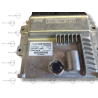 Peugeot Citroen Sterownik Silnika ECU POD VIN 9818035080 9831983280