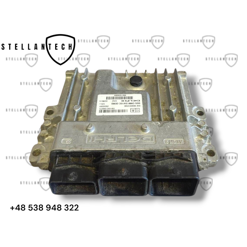 Peugeot Citroen Sterownik Silnika ECU POD VIN 9809447980 9825576480