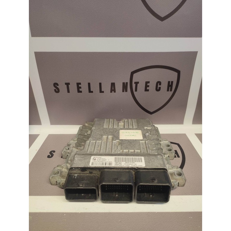 Peugeot Citroen Sterownik Silnika ECU POD VIN 9663241480 9666681180