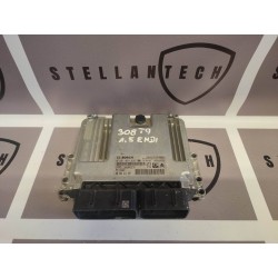 Peugeot Citroen Sterownik Silnika ECU POD VIN 9818703480 9828241380