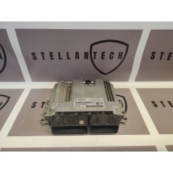 Peugeot Citroen Sterownik Silnika ECU POD VIN 9826975080 9841351080