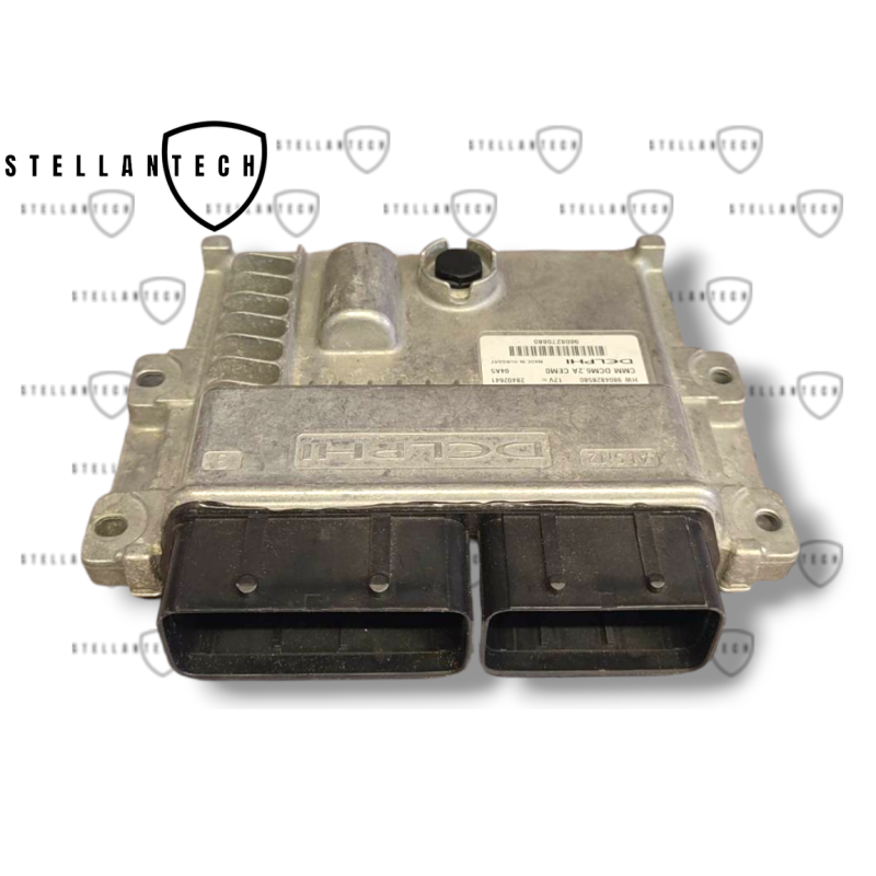 Peugeot Citroen Sterownik Silnika ECU POD VIN 9804828580 9808270880
