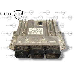 Peugeot Citroen Sterownik Silnika ECU POD VIN 9667175380 9802943180