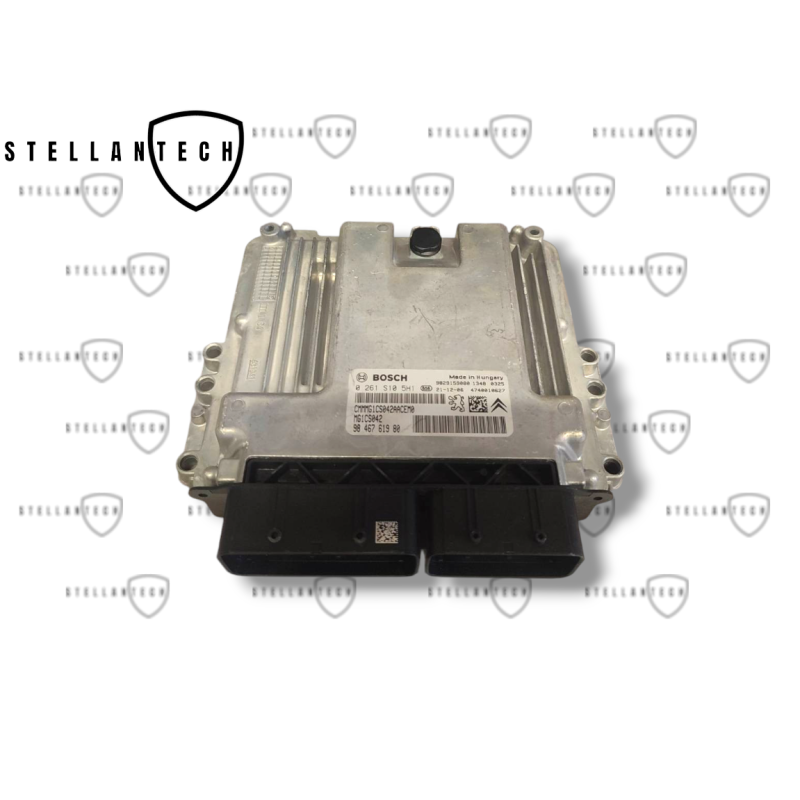 Peugeot Citroen Sterownik Silnika ECU POD VIN 9666912580 9806127380
