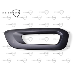 Dekor Drzwi Lewy Tył OE 9821389077 98213890NX