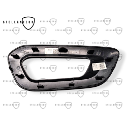 Dekor Drzwi Lewy Tył OE 9821389077 98213890NX