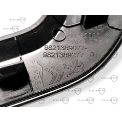 Dekor Drzwi Lewy Tył OE 9821389077 98213890NX