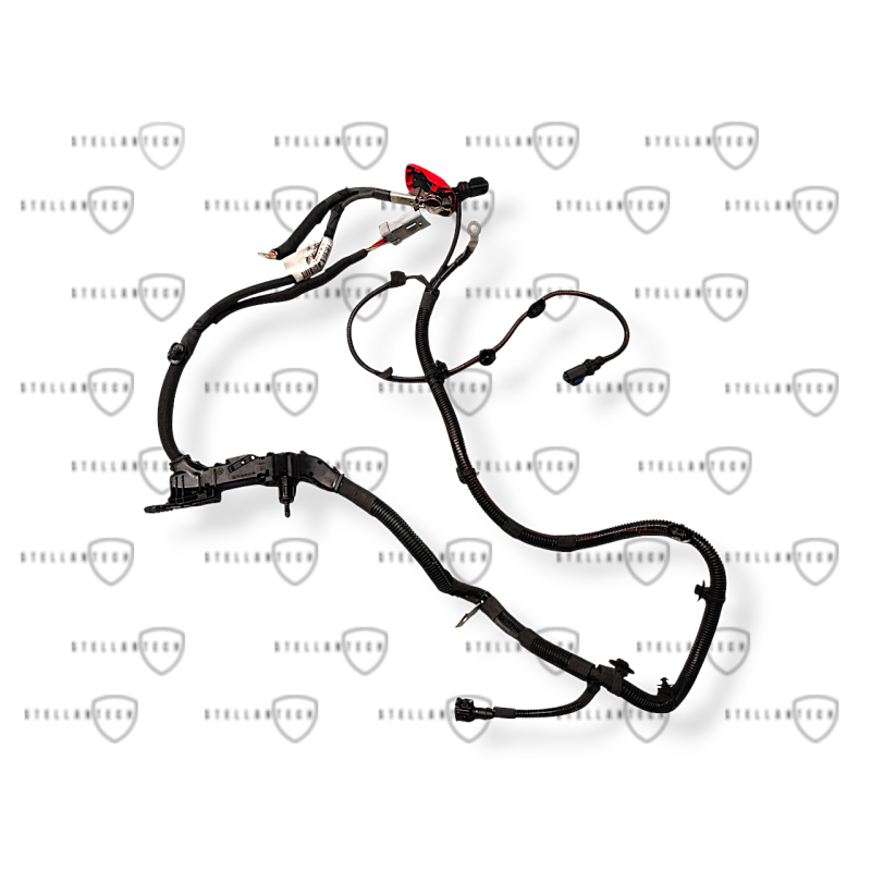 Peugeot Klema Plusowa OE 9819950380