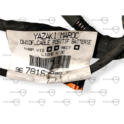 Wiązka Klemy Minusowej OE 9678163980