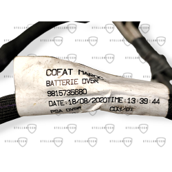 Wiązka Klemy Plusowej OE 9815735680