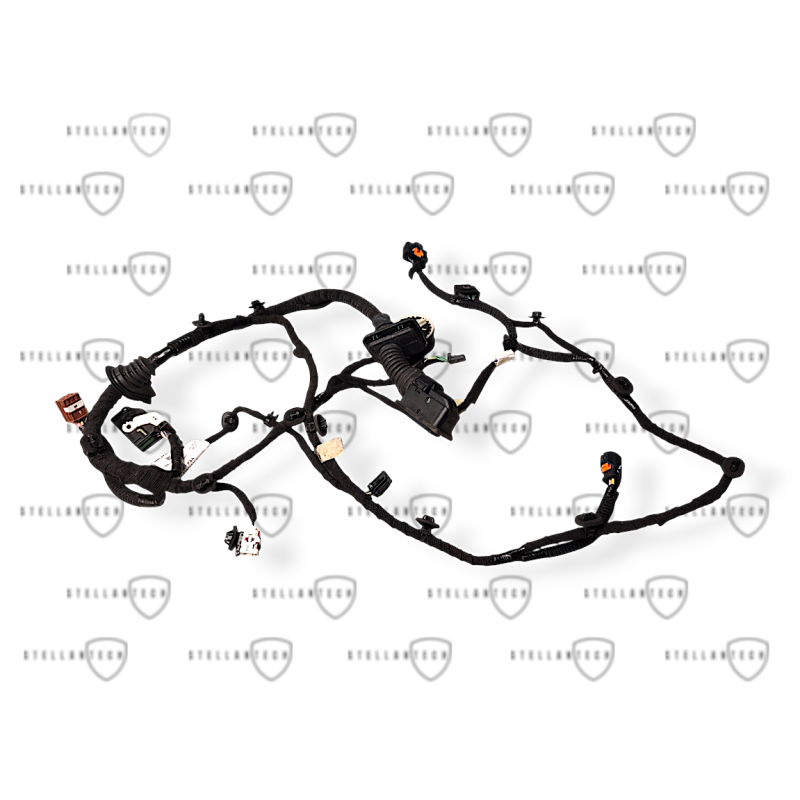 DS4 II Wiązka Drzwi Prawy Przód OE 9841921380