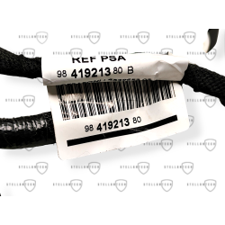 DS4 II Wiązka Drzwi Prawy Przód OE 9841921380