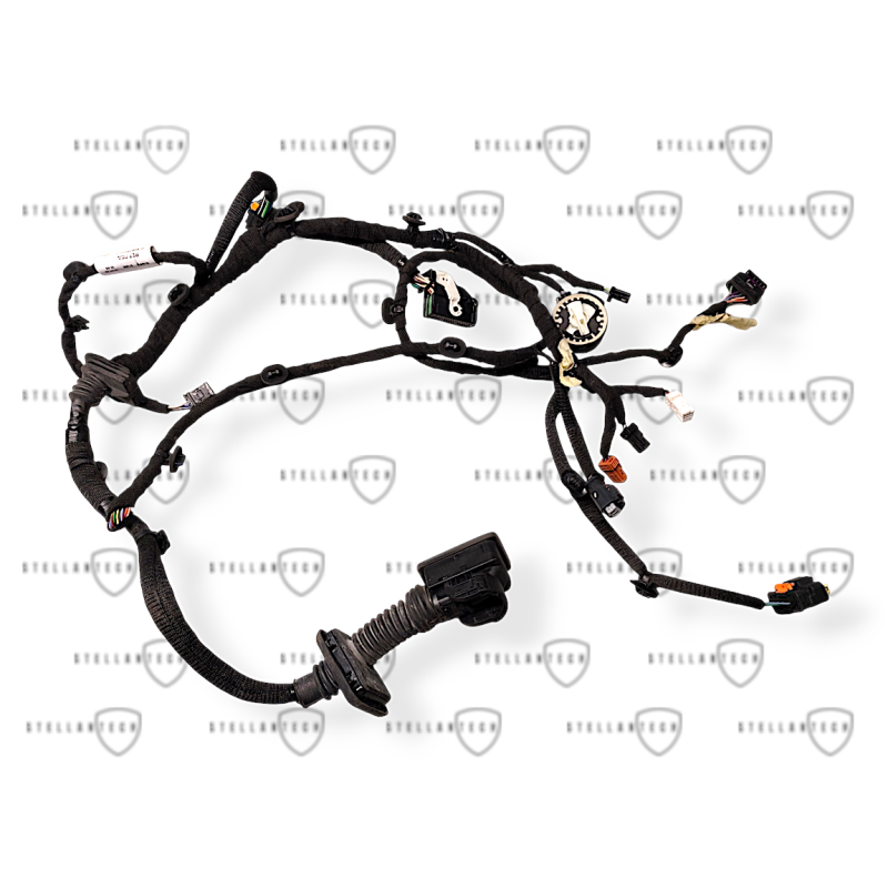 DS4 II Wiązka Drzwi Lewy Przód OE 9841919480